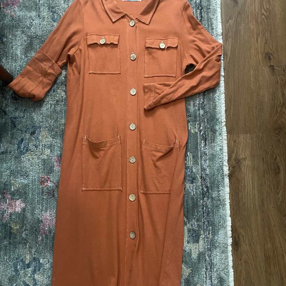 Free People Terracotta Long Sleeve Dress